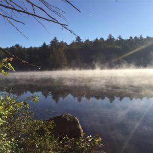 Meet your Posher, Wendy